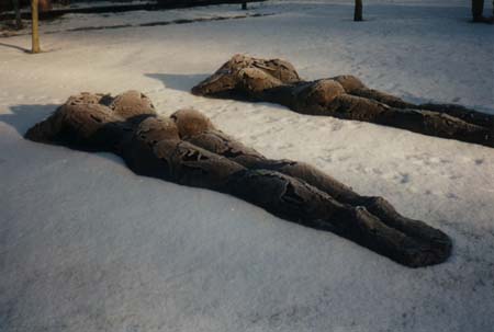 Sun-bathe Girls